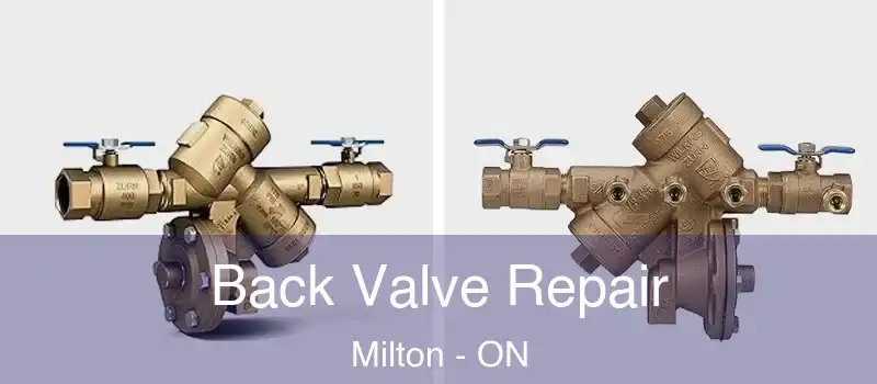  Back Valve Repair Milton - ON