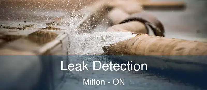  Leak Detection Milton - ON