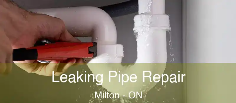 Leaking Pipe Repair Milton - ON
