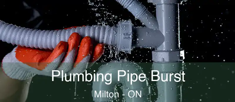  Plumbing Pipe Burst Milton - ON