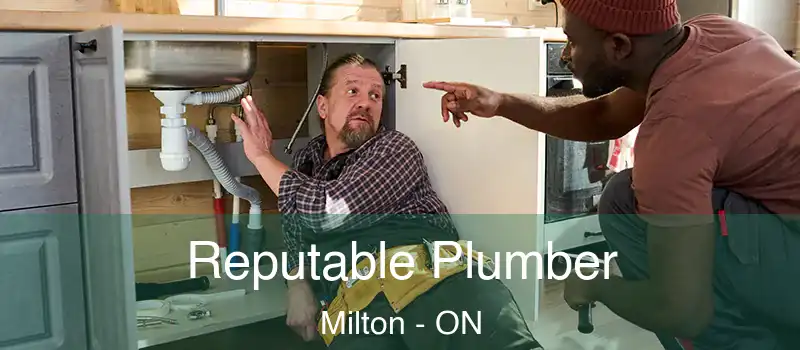  Reputable Plumber Milton - ON