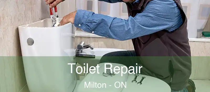  Toilet Repair Milton - ON