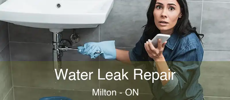  Water Leak Repair Milton - ON