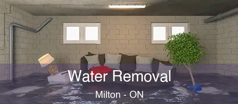  Water Removal Milton - ON